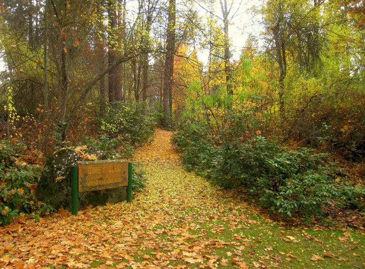 John A. Finch Arboretum, United States
